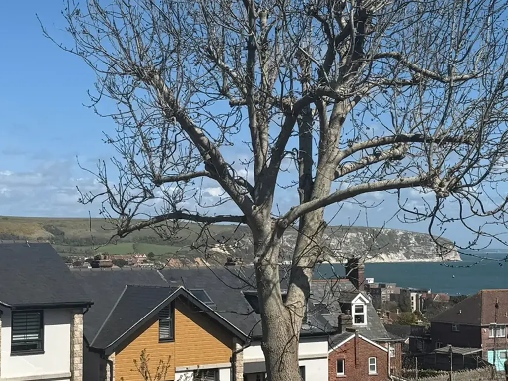 Property Picture
