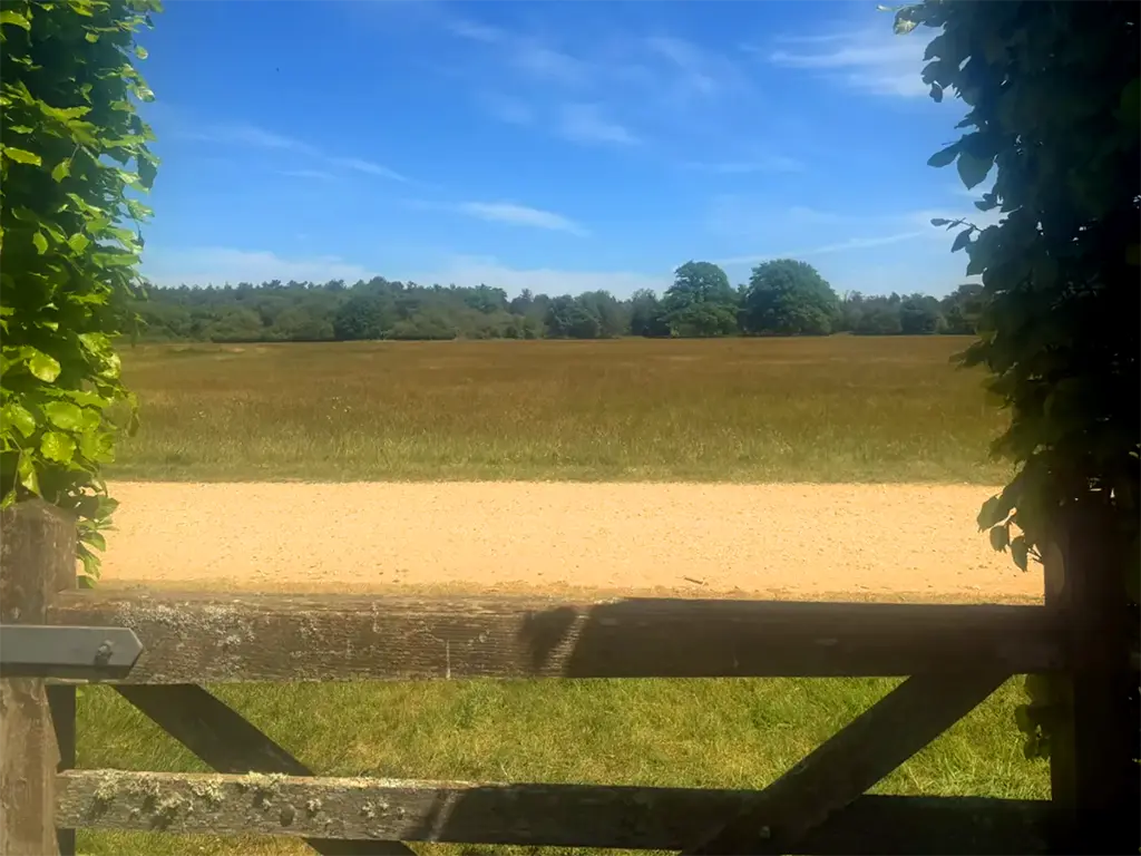 Property Picture