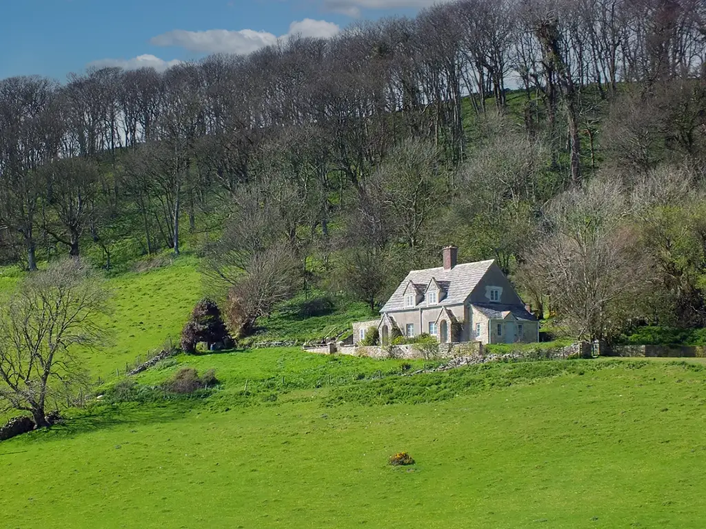 Property Picture
